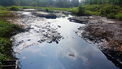 Hưng Yên: Tạm dừng bơm tưới nhiều nơi do sông Bắc Hưng Hải ô nhiễm