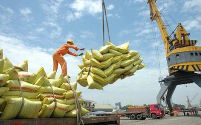 Chính thức thanh tra công tác quản lý xuất khẩu gạo