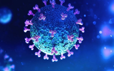 WHO khẳng định virus SARS-CoV-2 'có nguồn gốc tự nhiên'