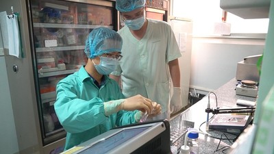 Chuột thí nghiệm khỏe mạnh - triển vọng vaccine Covid-19 ở Việt Nam
