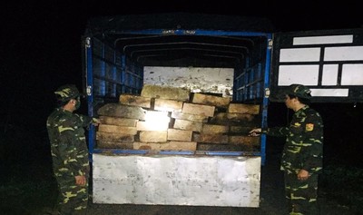 Bắt giữ xe tải vận chuyển hàng chục phách gỗ trái phép