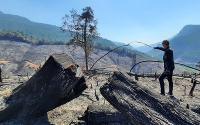 Quảng Nam cháy rừng nghiêm trọng, hơn 32 ha rừng bị thiêu rụi