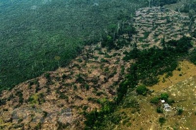 Brazil huy động gần 4.000 binh sỹ bảo vệ rừng Amazon