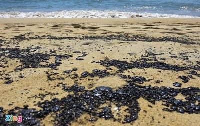Hơn 2 km bờ biển Quảng Ngãi bị dầu đen vón cục bất thường