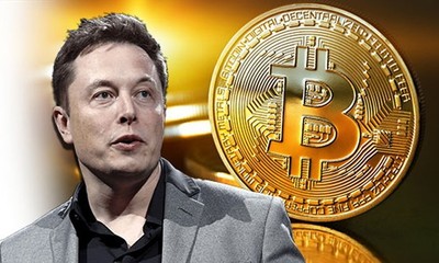 Giá bitcoin hôm nay 17/5: Tăng nhẹ, Elon Musk tiết lộ số Bitcoin