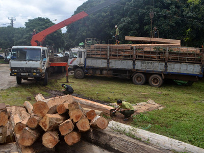 Gia Lai: Khởi tố nhiều đối tượng vụ gỗ lậu khủng