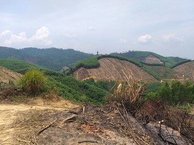 Đắk Lắk: “Toang' cả cánh rừng vì quản lý bất lực