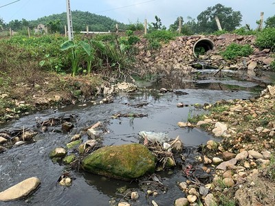 Trại nuôi lợn gia công cho Cty C.P xả thải ra sông, suối gây ô nhiễm