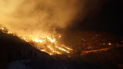 ĐBQH đề nghị bổ sung cháy rừng vào loại hình thiên tai đặc thù