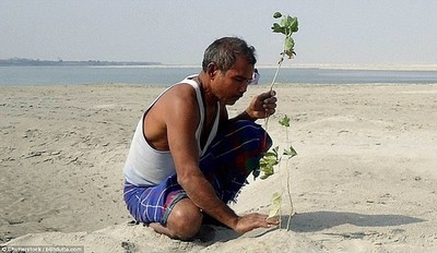 Người đàn ông hơn 40 năm biến đất khô cằn thành rừng xanh mướt