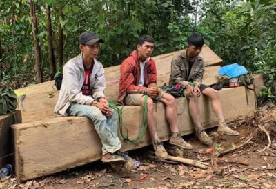 Đắk Lắk: Bắt đối tượng chủ mưu phá rừng