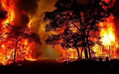 Đưa cháy rừng do tự nhiên là một loại hình thiên tai