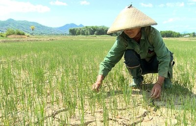 Bình Thuận: Không để thiếu nước cho sản xuất vụ Hè Thu