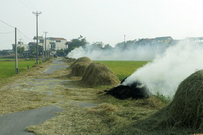Hà Nội đề xuất cấm đốt rơm rạ, phụ phẩm nông nghiệp