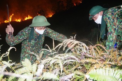 Hà Tĩnh: Sau 10 giờ bị khống chế, đám cháy rừng bùng phát trở lại