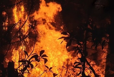 Thủ tướng chỉ đạo tăng cường phòng cháy, chữa cháy rừng