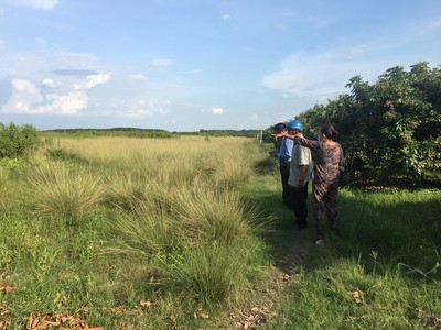 Tây Ninh: Đất đang tranh chấp vẫn được chuyển nhượng?