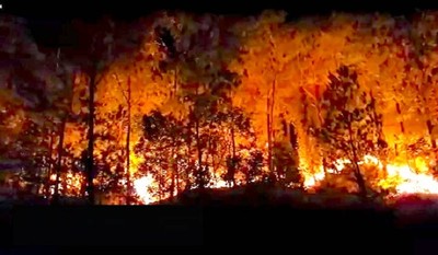 Liên tục xảy ra cháy rừng, Nghệ An yêu cầu truy tìm thủ phạm