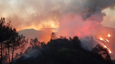 Hà Tĩnh huy động hàng trăm người chặn cháy rừng lan rộng