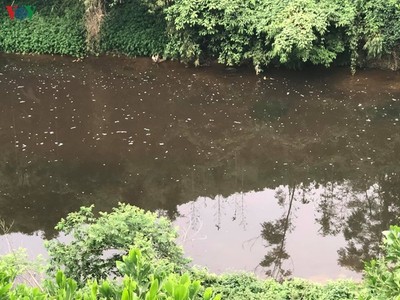Sông Phó Đáy tiếp tục xuất hiện dấu hiệu ô nhiễm