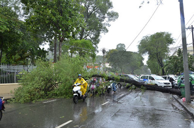 Hà Nội cần đảm bảo an toàn cho các kì thi trong mùa mưa bão