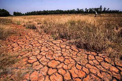 Lý giải nguyên nhân đợt hạn mặn tại ĐBSCL trong mùa khô 2019-2020