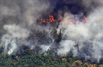 Báo động cháy rừng ở Brazil