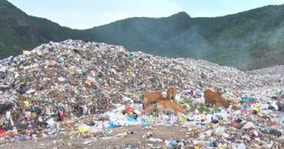 Loay hoay bài toán xử lý hơn 70.000 tấn rác ở Côn Đảo
