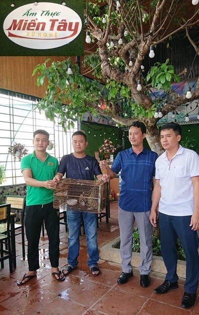 Một nhà hàng tại Nghệ An bàn giao động vật hoang dã cho VQG Pù Mát