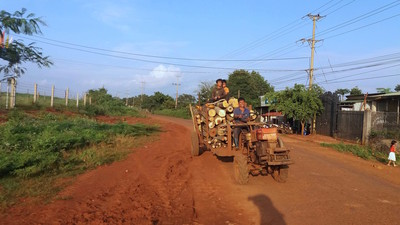 Gia Lai: Huyện Chư Păh bị phê bình