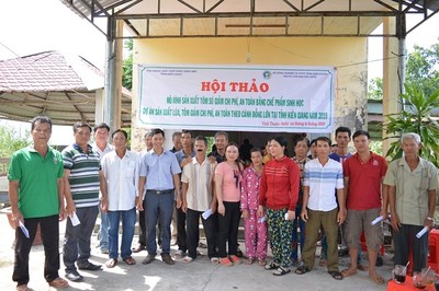 Kiên Giang: Tái cơ cấu nông nghiệp hiệu quả