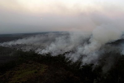 Cháy rừng ở Amazon có thể còn tệ hơn năm 2019