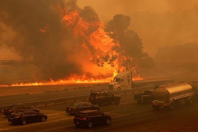 Gần 600 đám cháy rừng ở California, hơn 100.000 người phải sơ tán