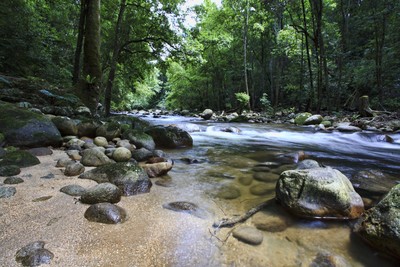 Vườn quốc gia Chư Yang Sin hướng tới mục tiêu phát triển bền vững