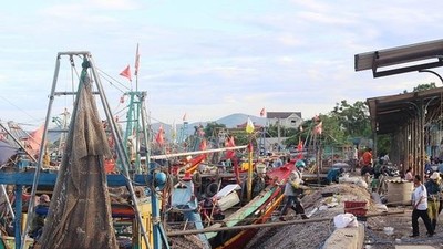 Nghệ An: Ô nhiễm môi trường từ vỏ ốc dùi tại cảng Lạch Vạn