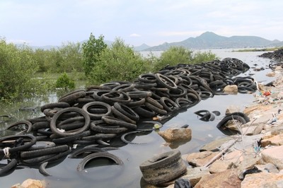 Ninh Thuận: Hàng ngàn lốp xe cũ nuôi hàu gây ô nhiễm môi trường
