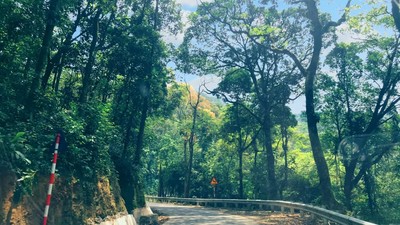 Vườn quốc gia Ba Vì: 'Lá phổi xanh' của Thủ đô