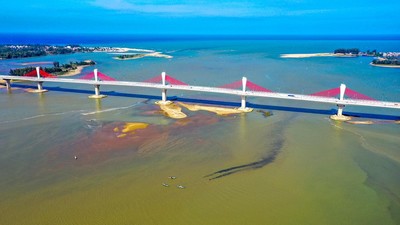 Cầu dây văng bắc qua sông Trà Khúc dự kiến khánh thành tháng 10/2020