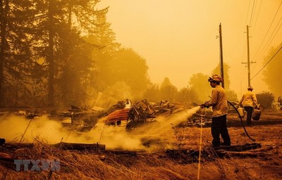 Mỹ: Cháy rừng tiếp tục hoành hành tại bang California và Oregon