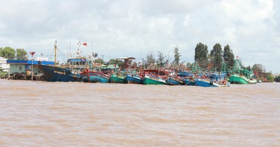 Xây cầu bắt qua sông lớn của hai tỉnh Cà Mau - Bạc Liêu