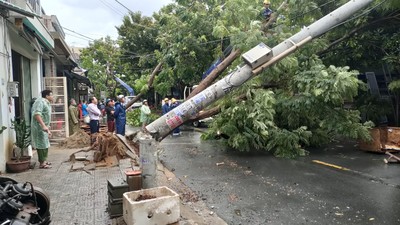 Đà Nẵng: Đường ngập nước, cây cối ngã đổ, cột điện gãy do bão số 5