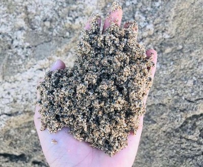 Tiêu chuẩn cát nhân tạo trong sản xuất bê tông