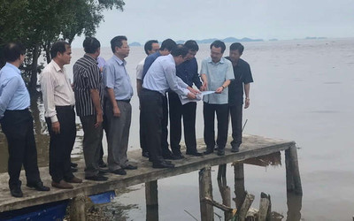 Kiên Giang: Phê duyệt ĐTM dự án kè chống sạt lở bờ biển