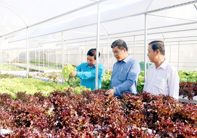 Kiên Giang: Phát triển sản xuất thích ứng với biến đổi khí hậu