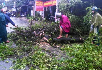 Quảng Ngãi: Thiệt hại nặng nề do bão số 6
