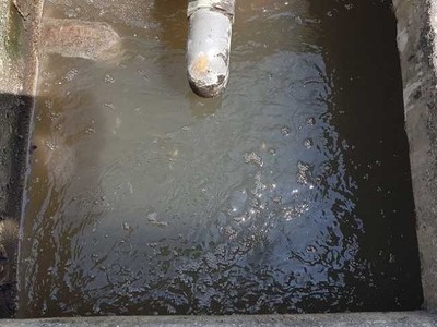 Bể trung gian trong xử lý nước thải, chức năng bể chứa bùn