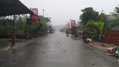 Bão số 9 áp sát Quảng Ngãi: Cây ngã đổ, hàng loạt nhà tốc mái