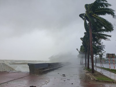 Đà Nẵng: Hơn 500 ngôi nhà tốc mái và gần 3000 cây ngã đổ do bão số 9