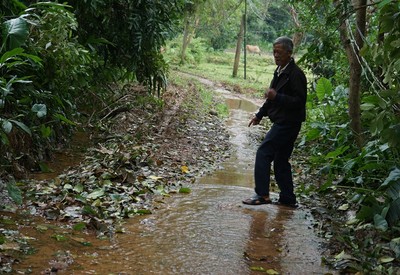 Quảng Nam: Hơn 20 hộ dân “khát” đường bê tông nông thôn