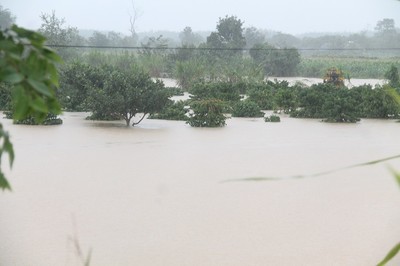 Đắk Lắk: Bão số 12 gây ngập lụt nhiều địa phương
